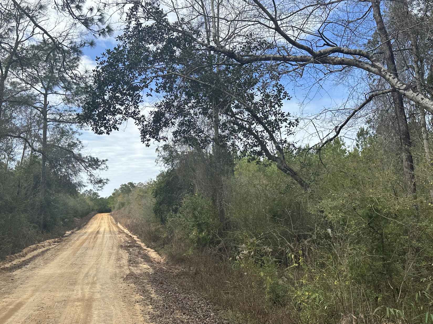Tract#6301 NE Love Rd  