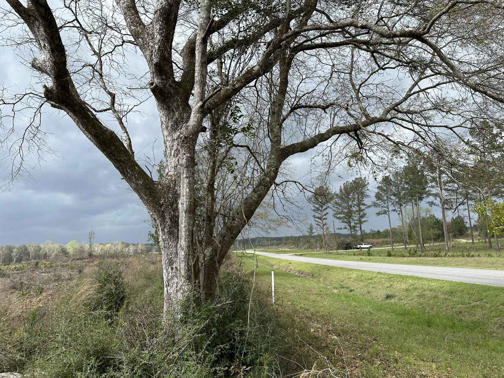 Tract#6201 County Hwy 181  