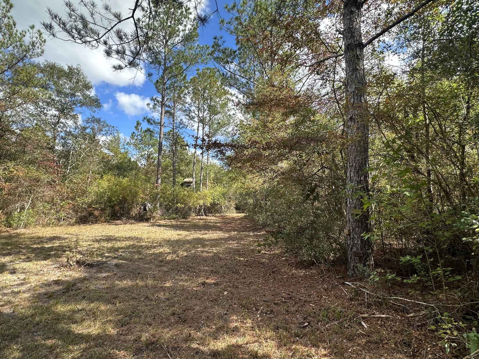 128 57 Ac Lacey Ln  