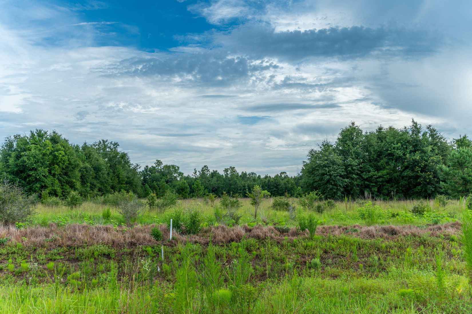 F-2 Long Branch Farm Rd  
