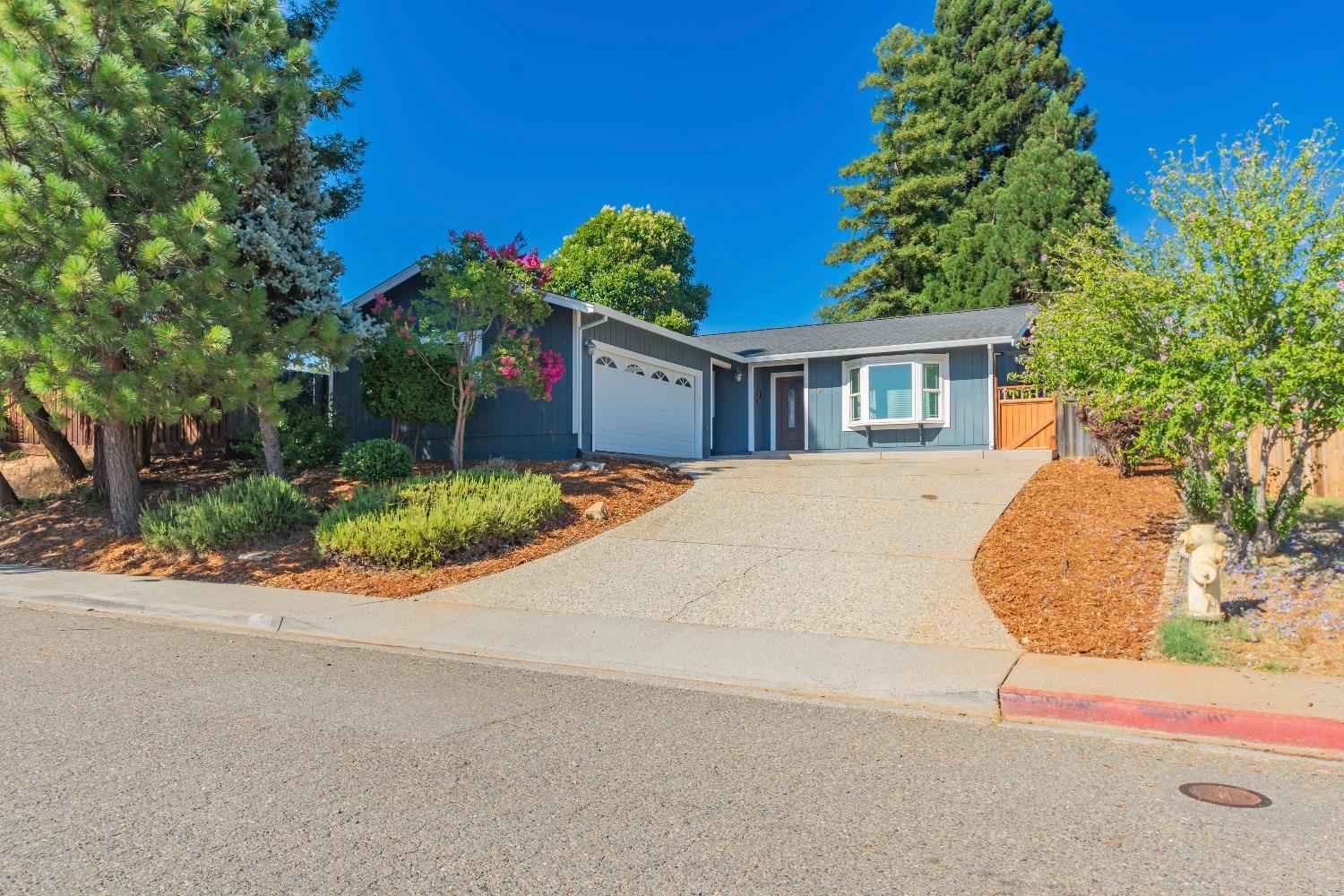 260 Timberline Ln  