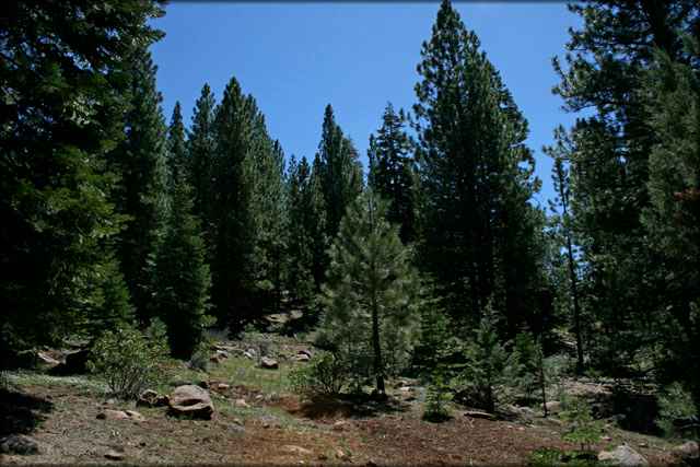 Lot 32 Morgan Rd  