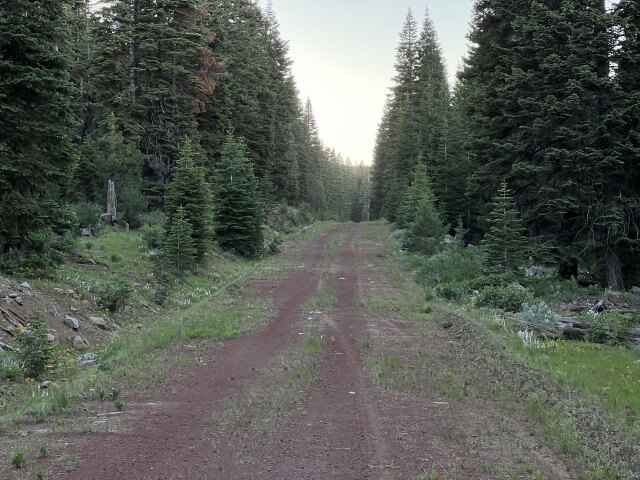 Lot 42 Bighorn Rd  