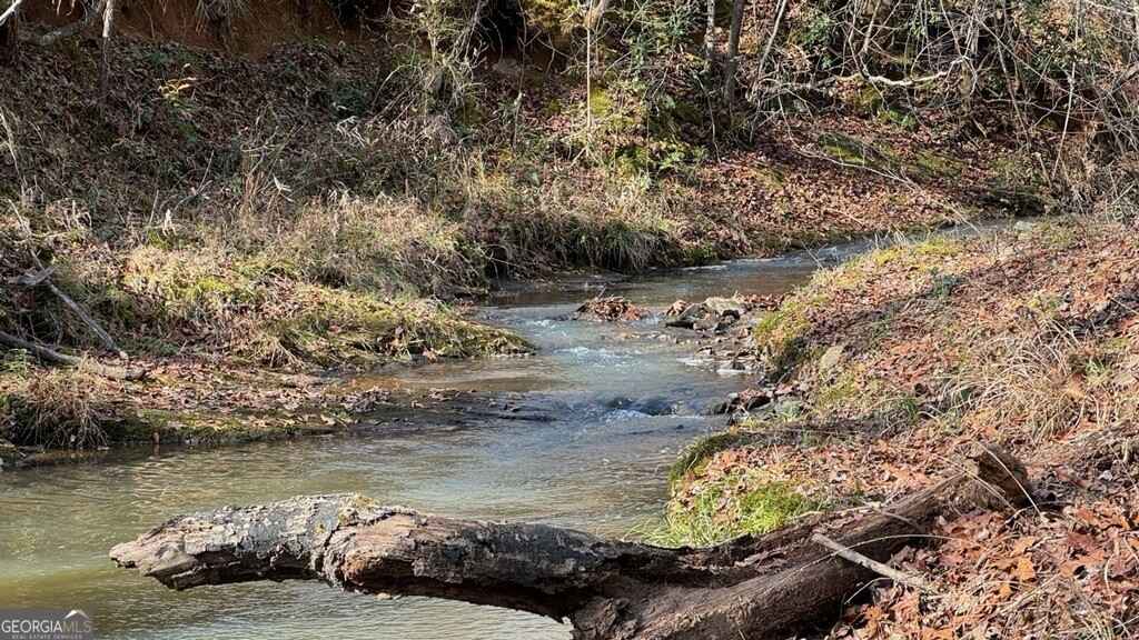 Tract 3 Douglas Crk Rd  