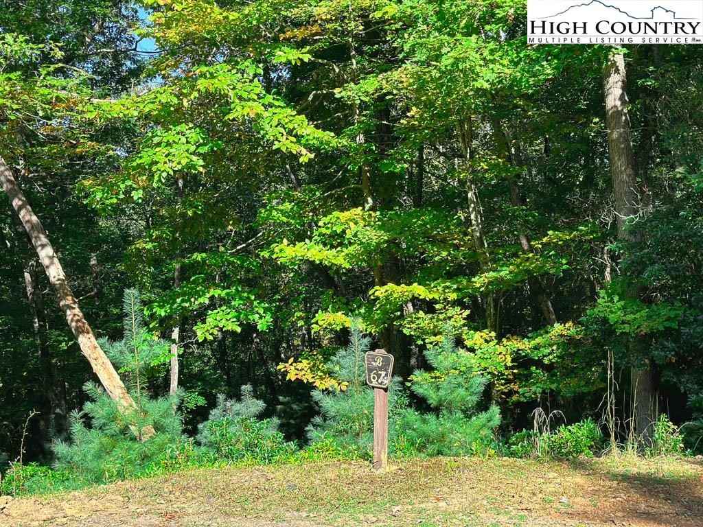 Tbd (lot 67) Autumn Fern Trl  