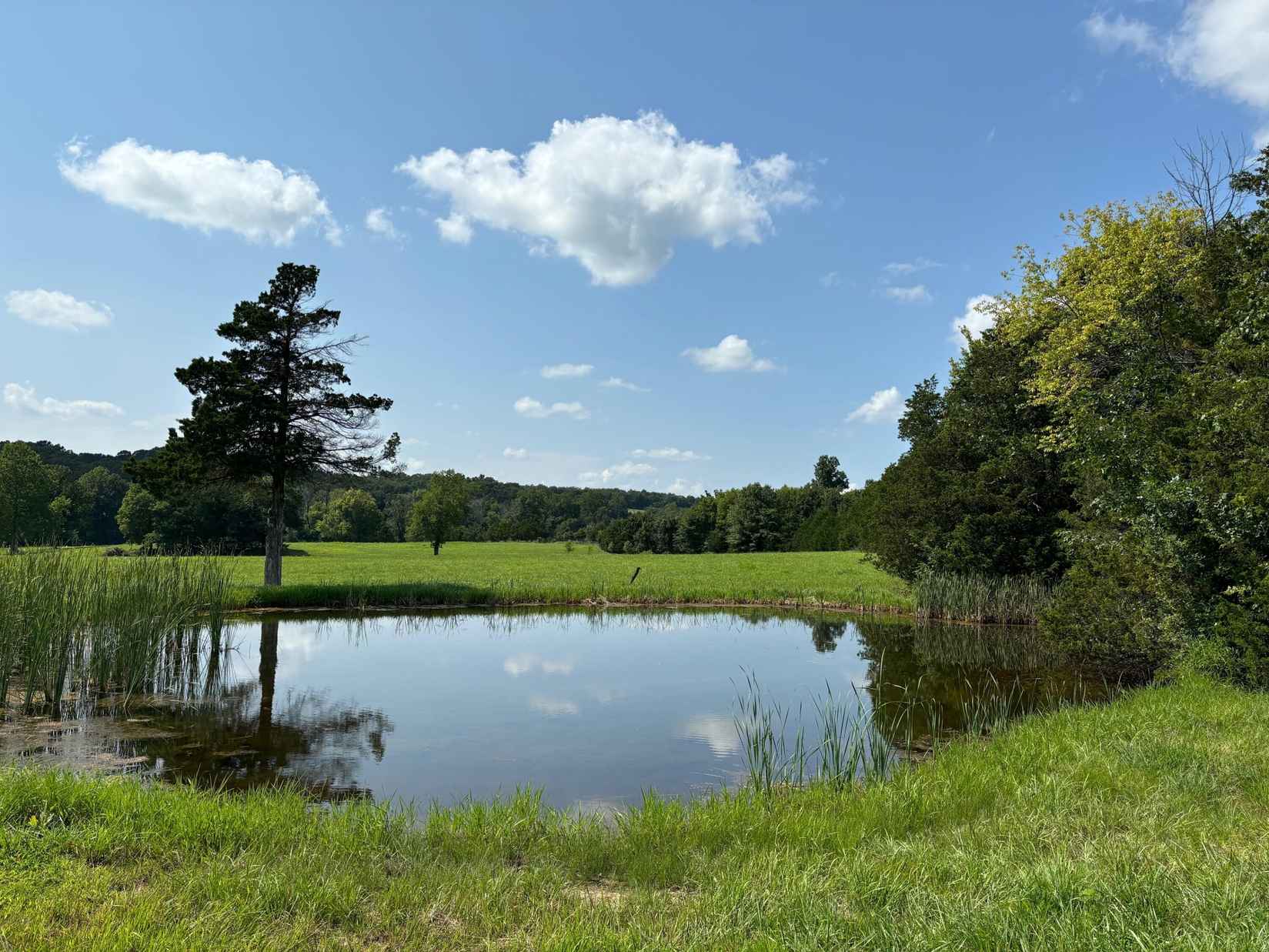 600 Old Sycamore Loop  