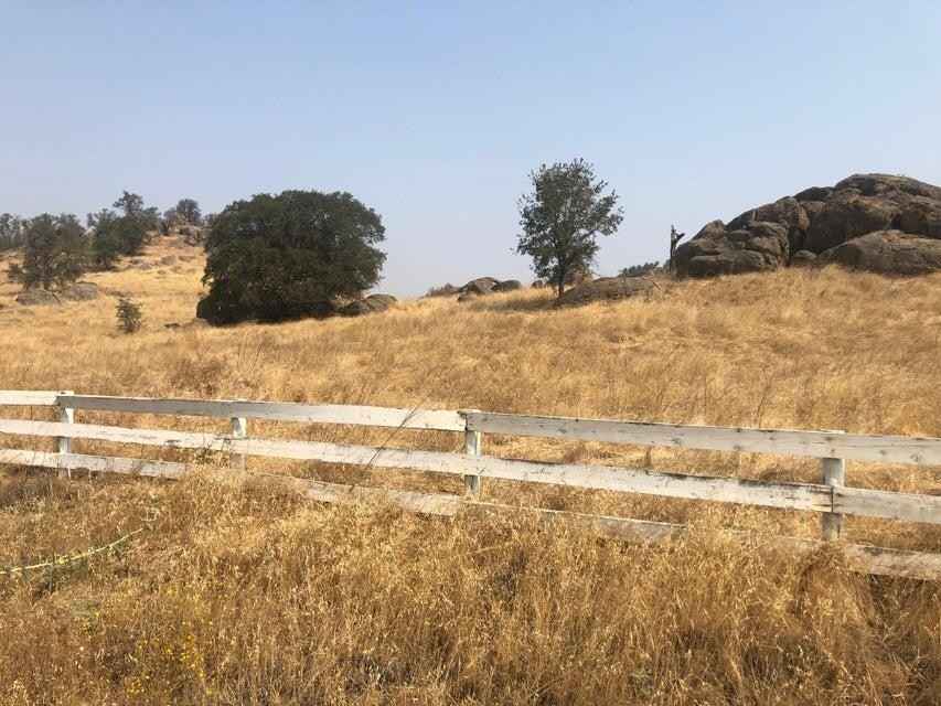 16988 Coyote Dr  