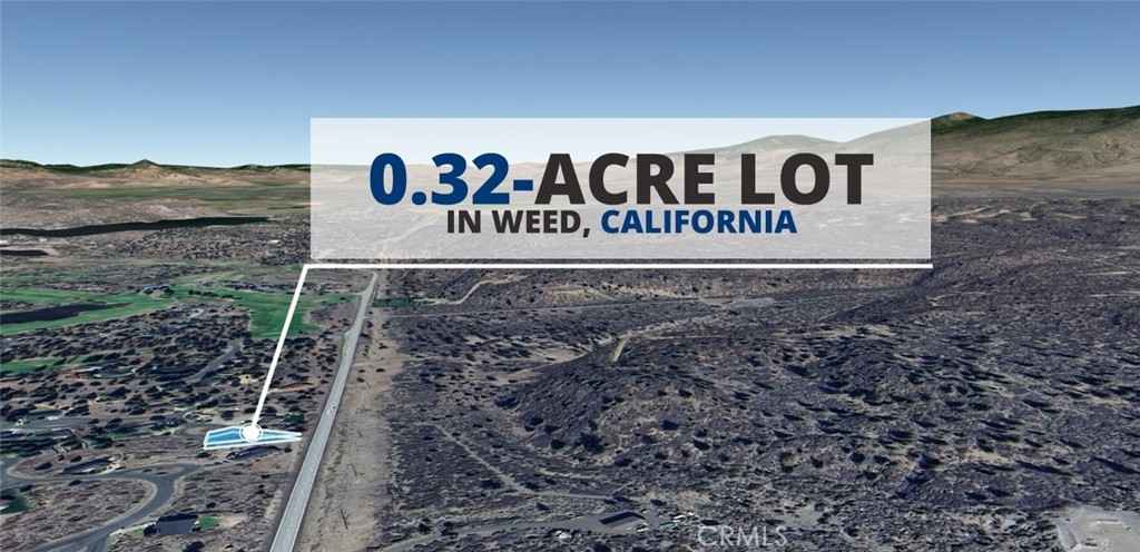 0 Squirrel Unit 25 Ct  