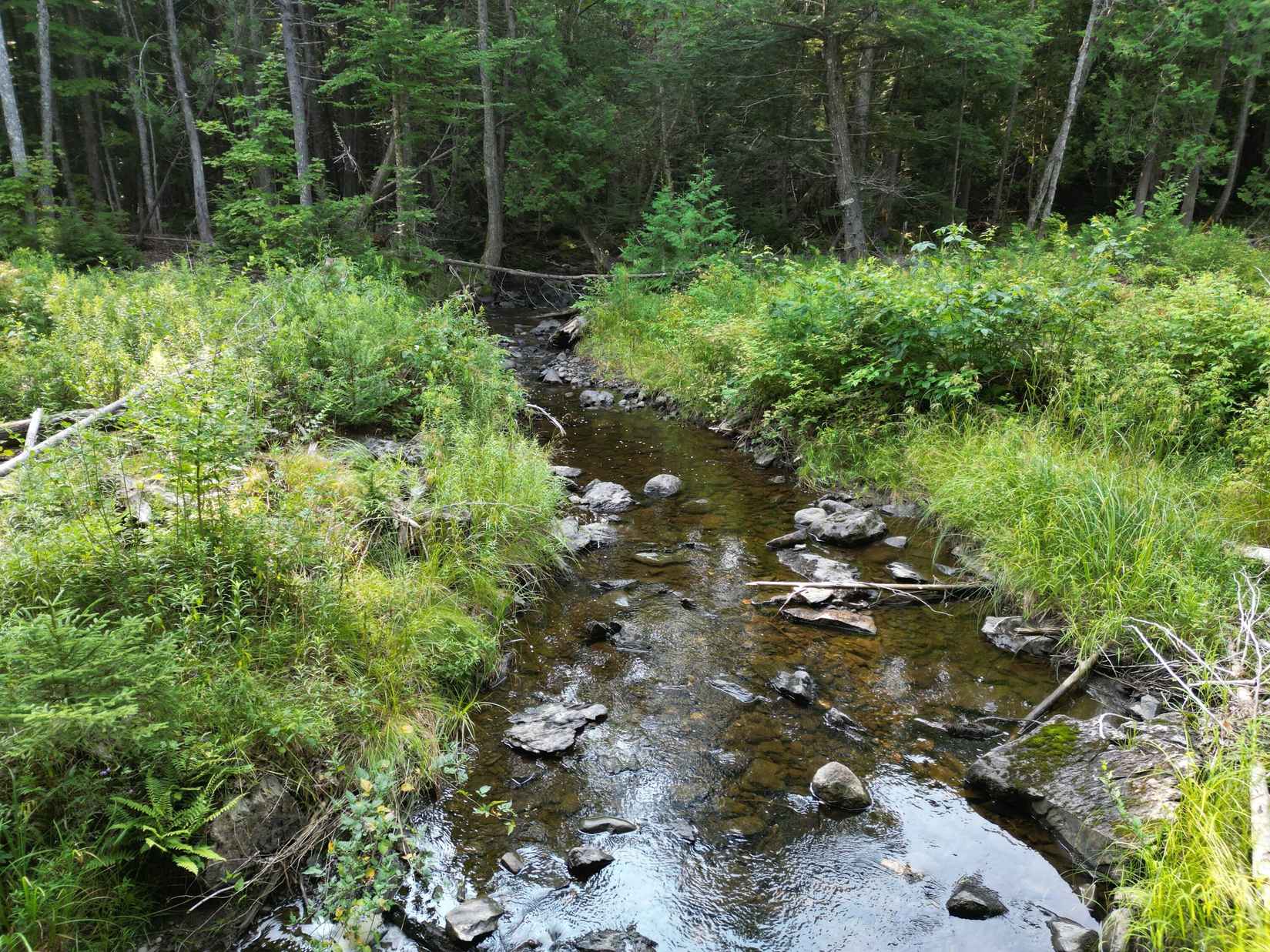 Lot 14 West Rd  