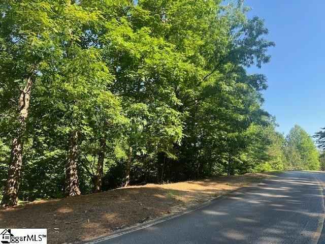 101 GREY WIDGEON TRL  