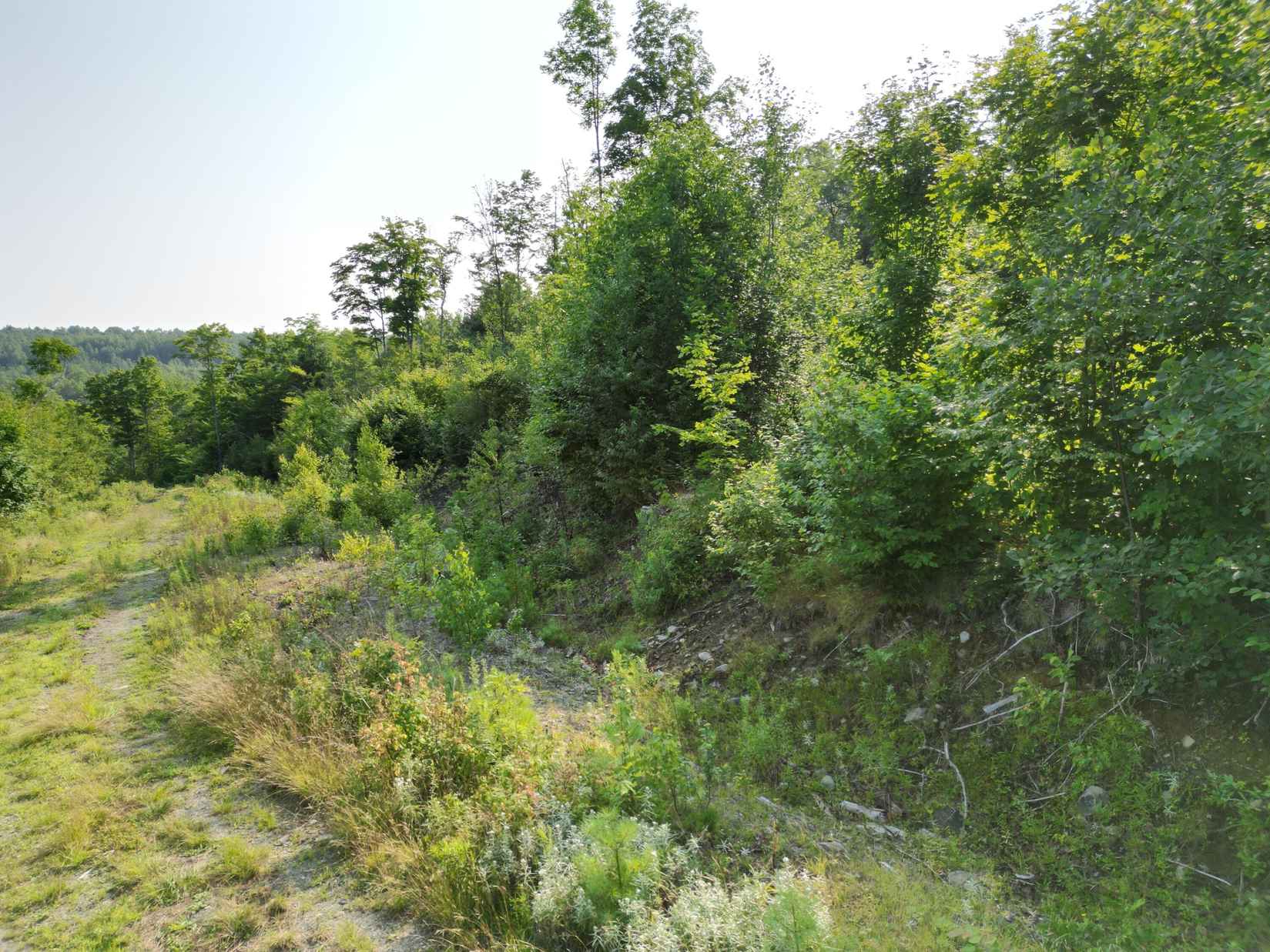 Lot 12 West Rd  