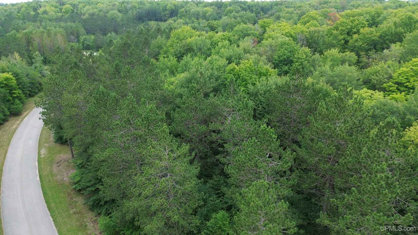 Lot 22 Hidden Pines County 437  