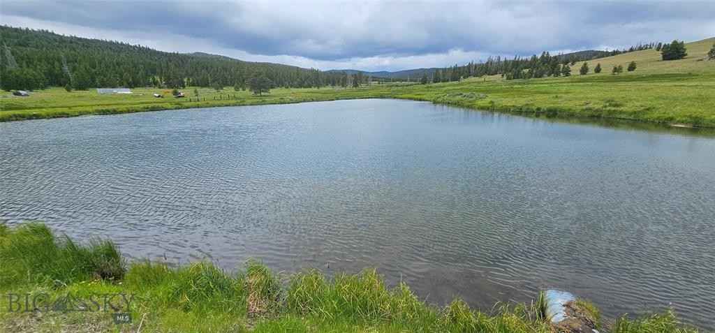 10085 Snowshoe Deadwood Rd  