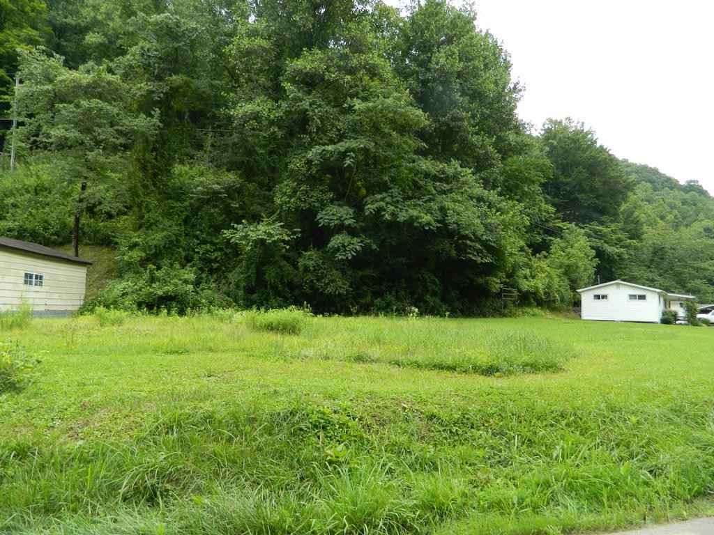 00 Straight Fork Road Little Crk  