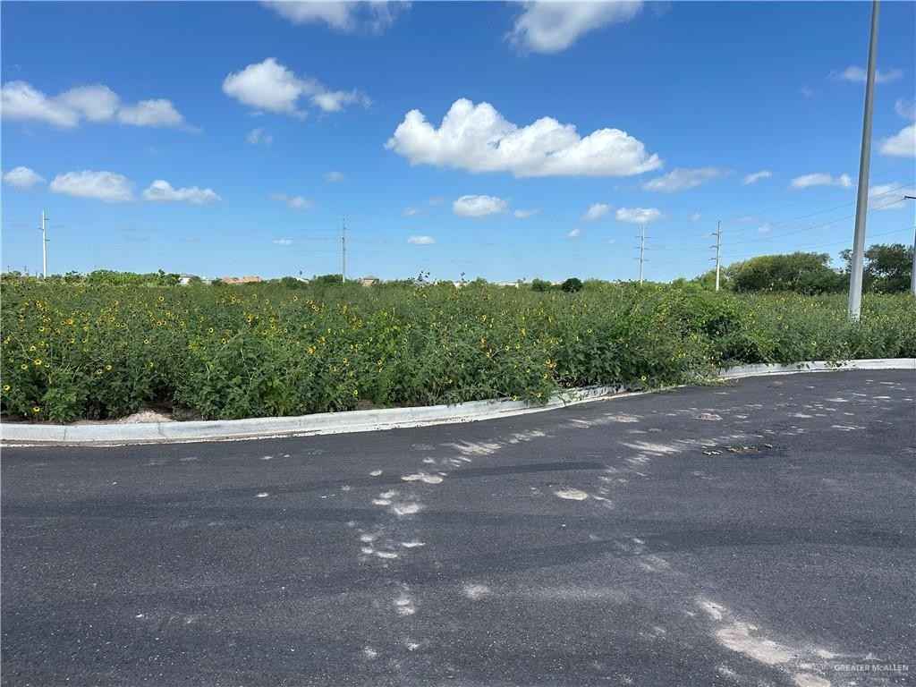 000 Paloma St  