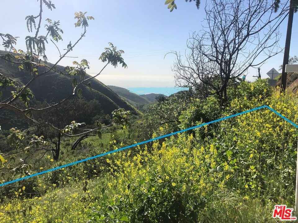 4218 Latigo CYN  