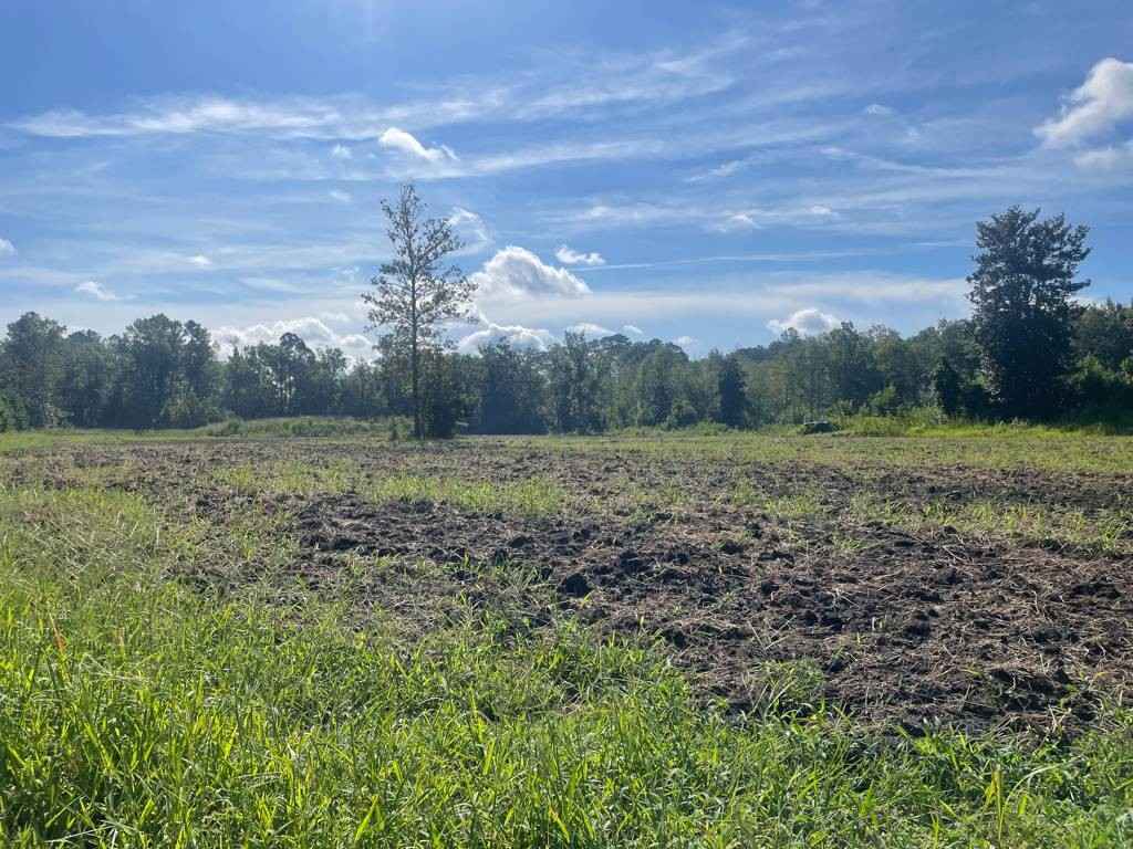 TBD 3 Grays Hwy  