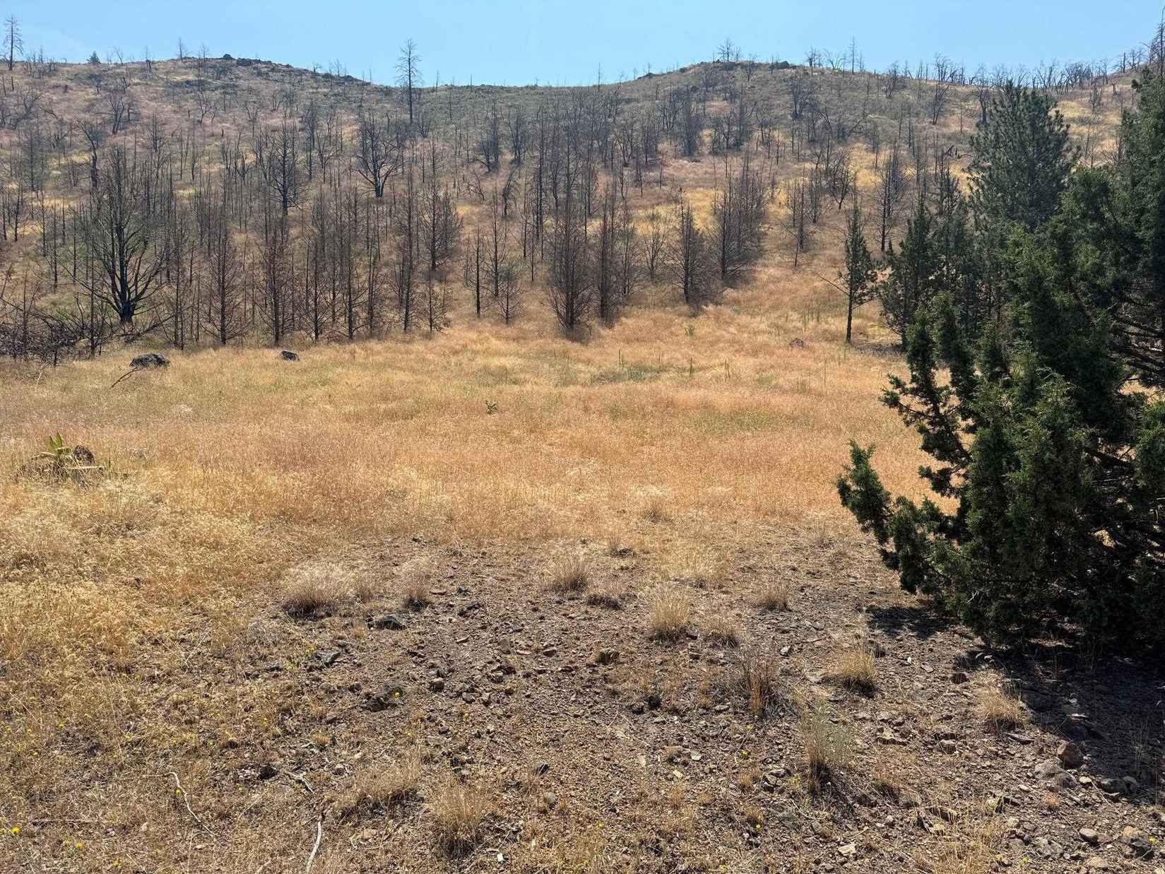 5-4 Lot 189 Lake Shr Dr  