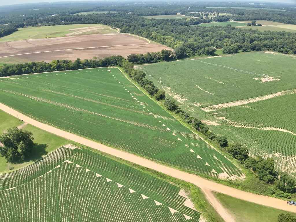 2 3 Acres Burdeshaw Rd  