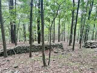 0 Piney Woods Rd  