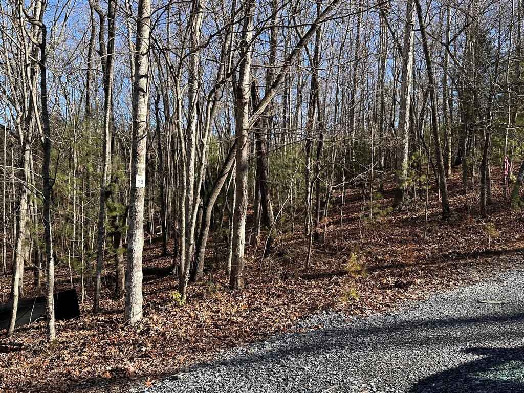 Lot 19 Fairview Dr  