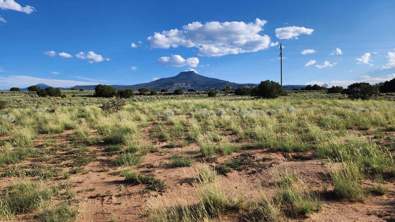Lot 24 Private Dr 1725  