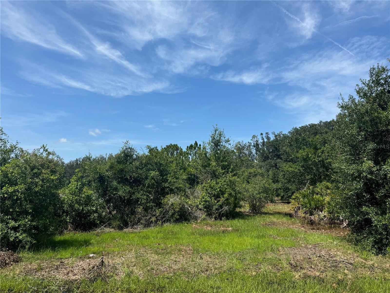 4309 SE Hwy 31  