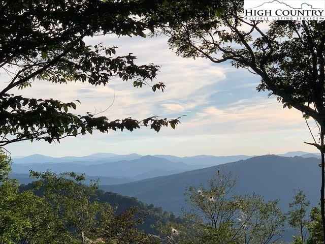 H114 Beaver NVNO N/A  