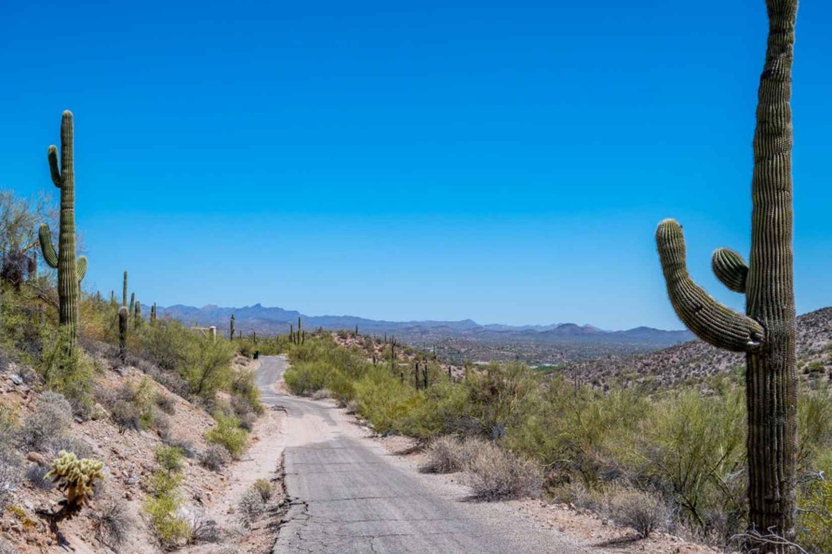 55 W Pueblo Vista Dr 14  