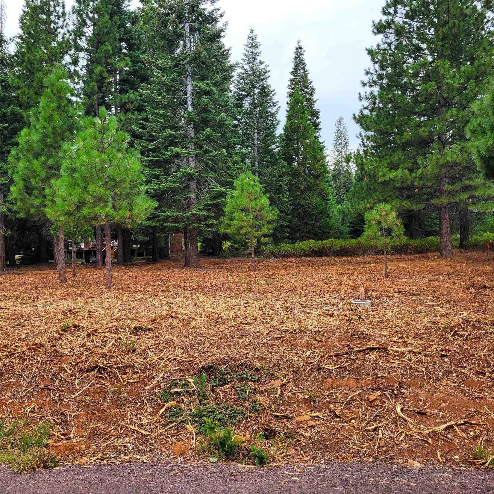 356 Dinsmore Dr Dinsmore Dr  