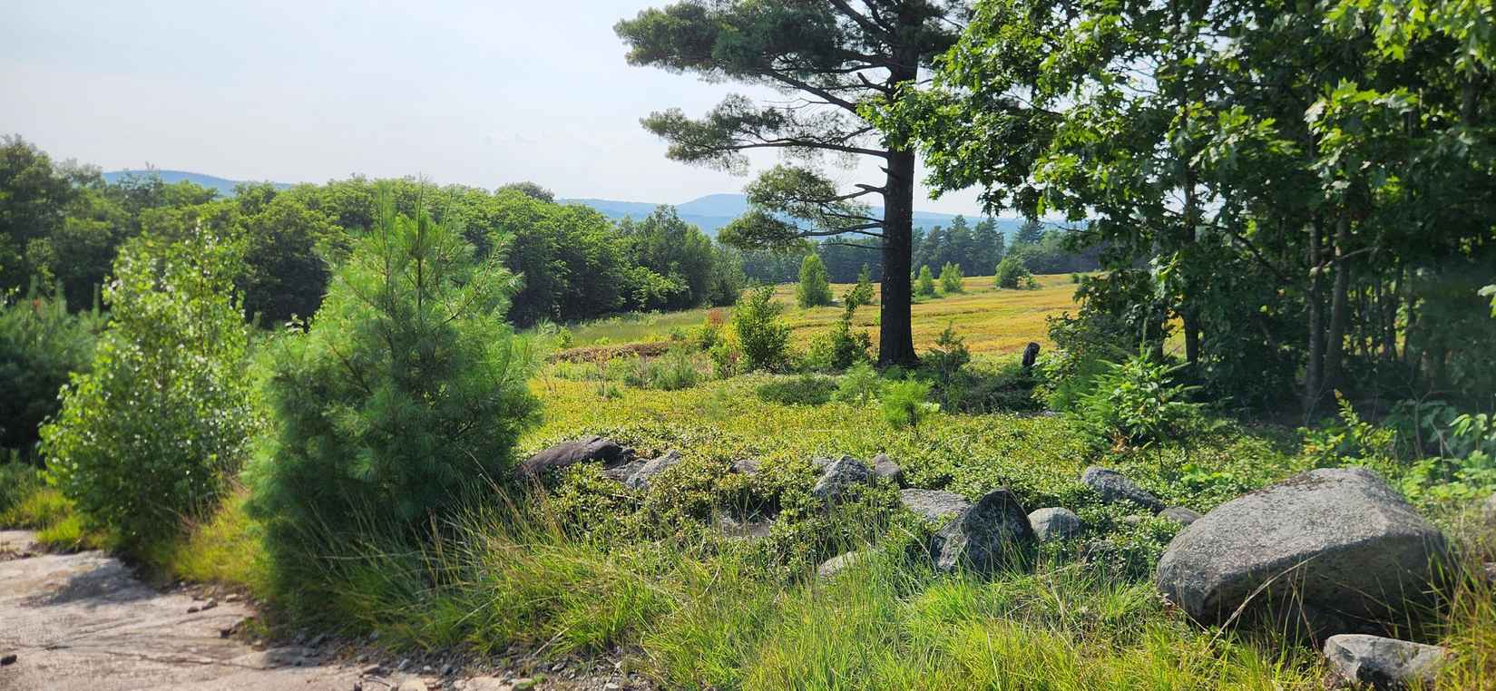 0 Upper Long Pond Rd  