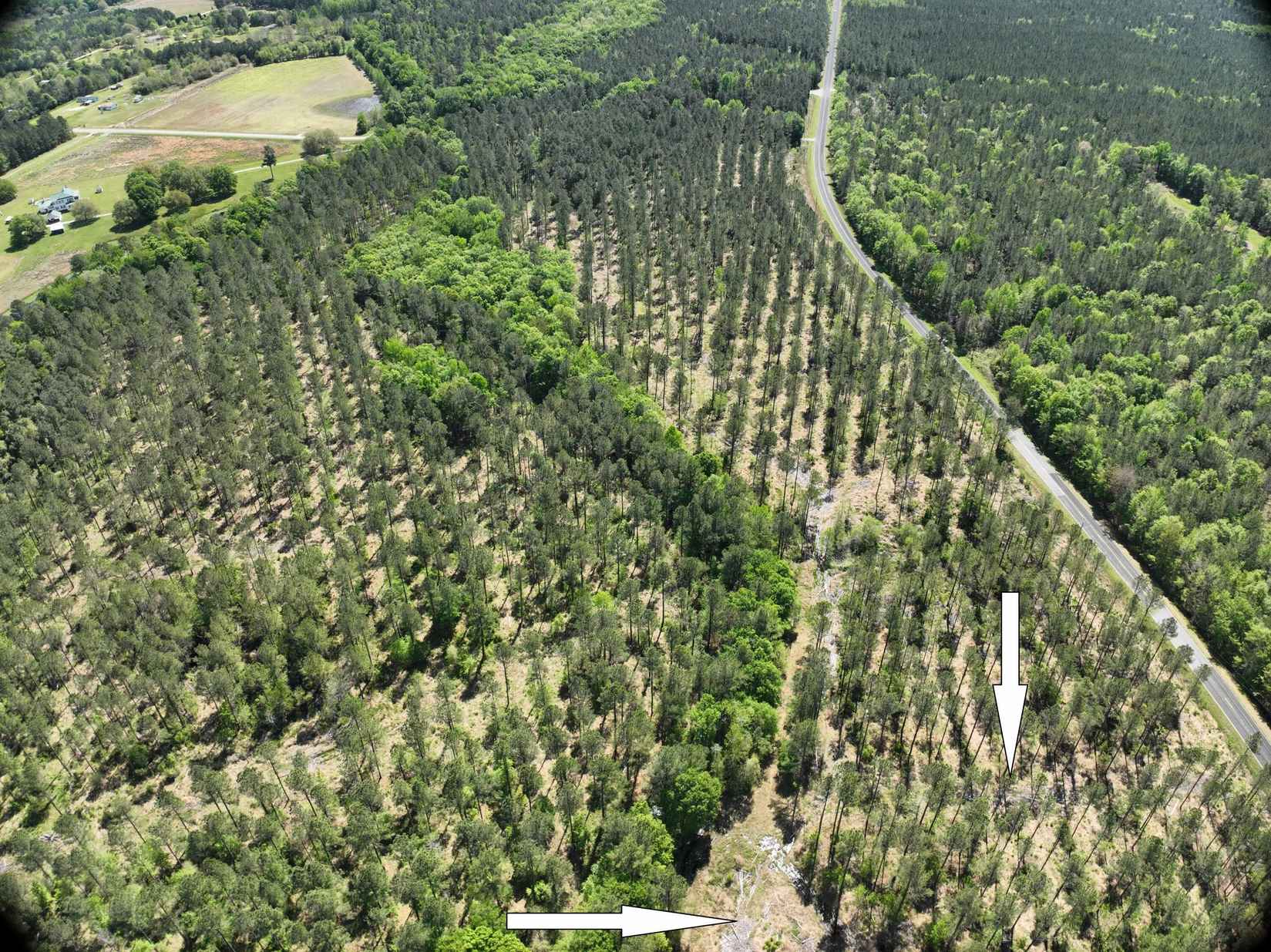 0 Addidas (Lot Unit 16) St  