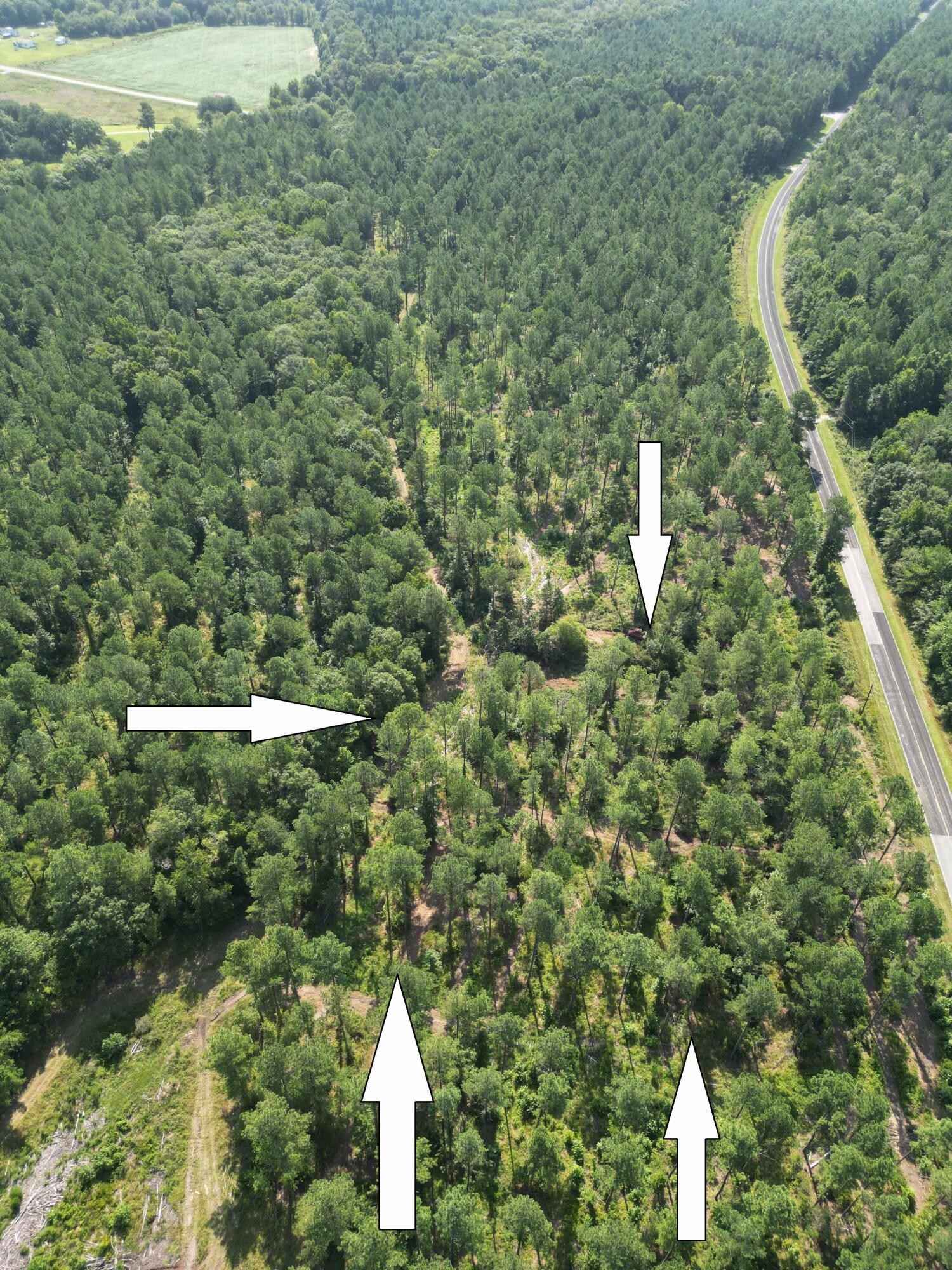 0 Addidas (Lot Unit 17) St  