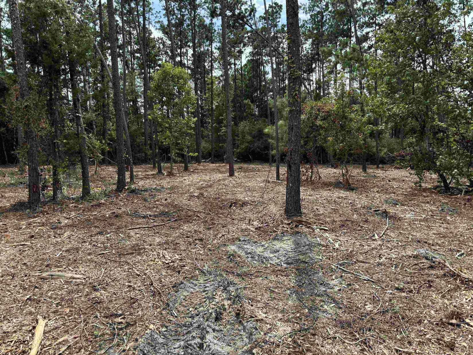 Tbd Lot 38 Northwood Dr  