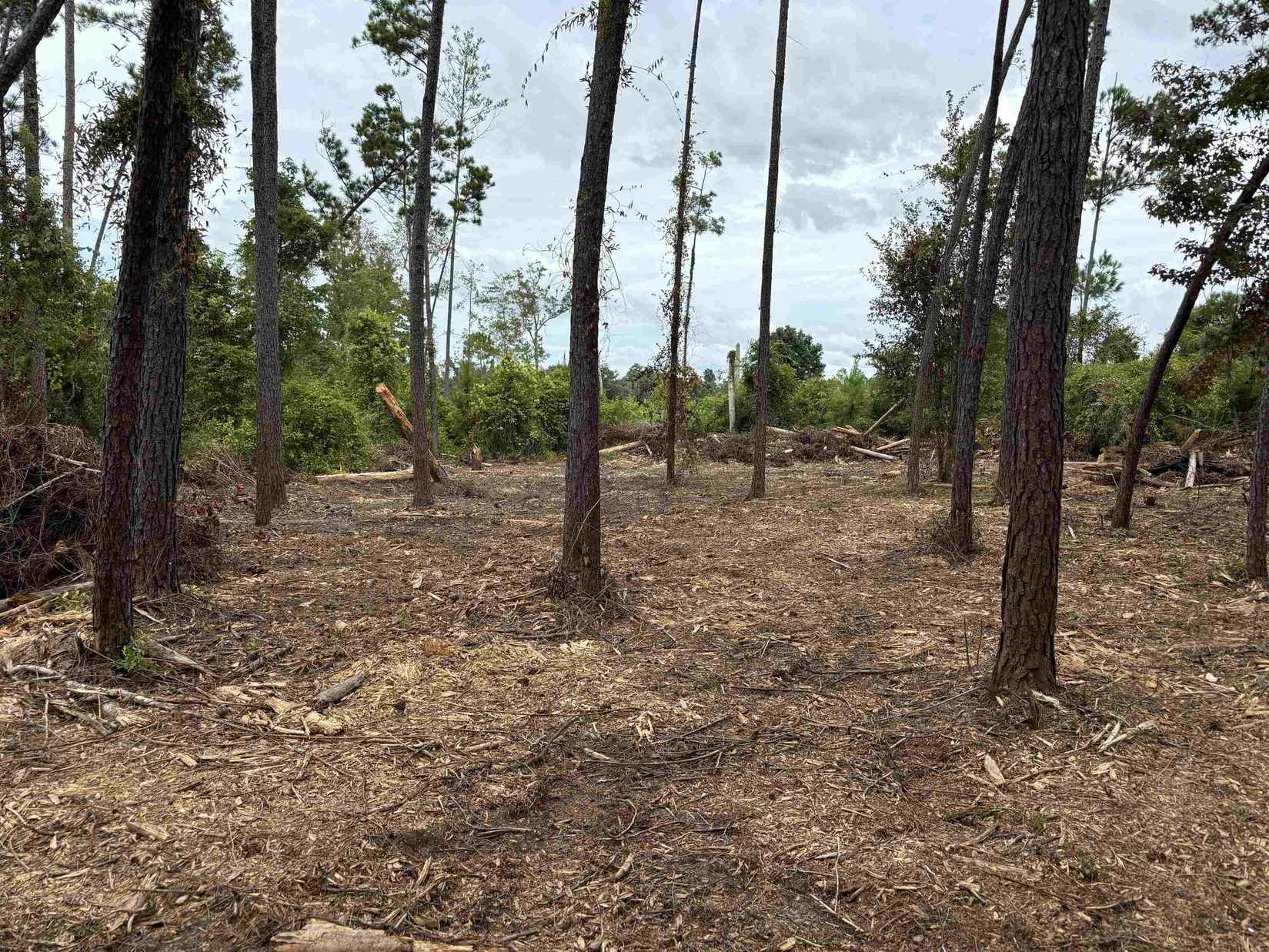 Tbd Lot 37 Northwood Dr  