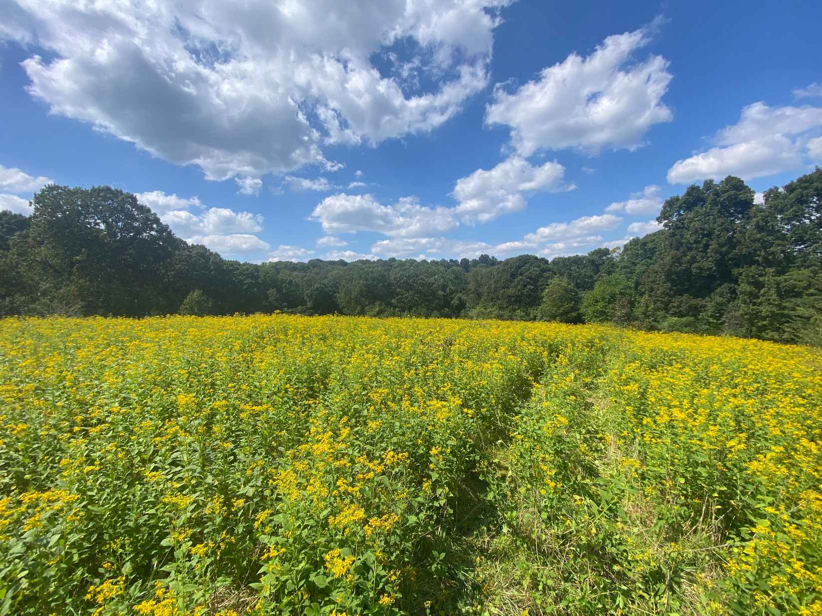 2822 Hwy 98  