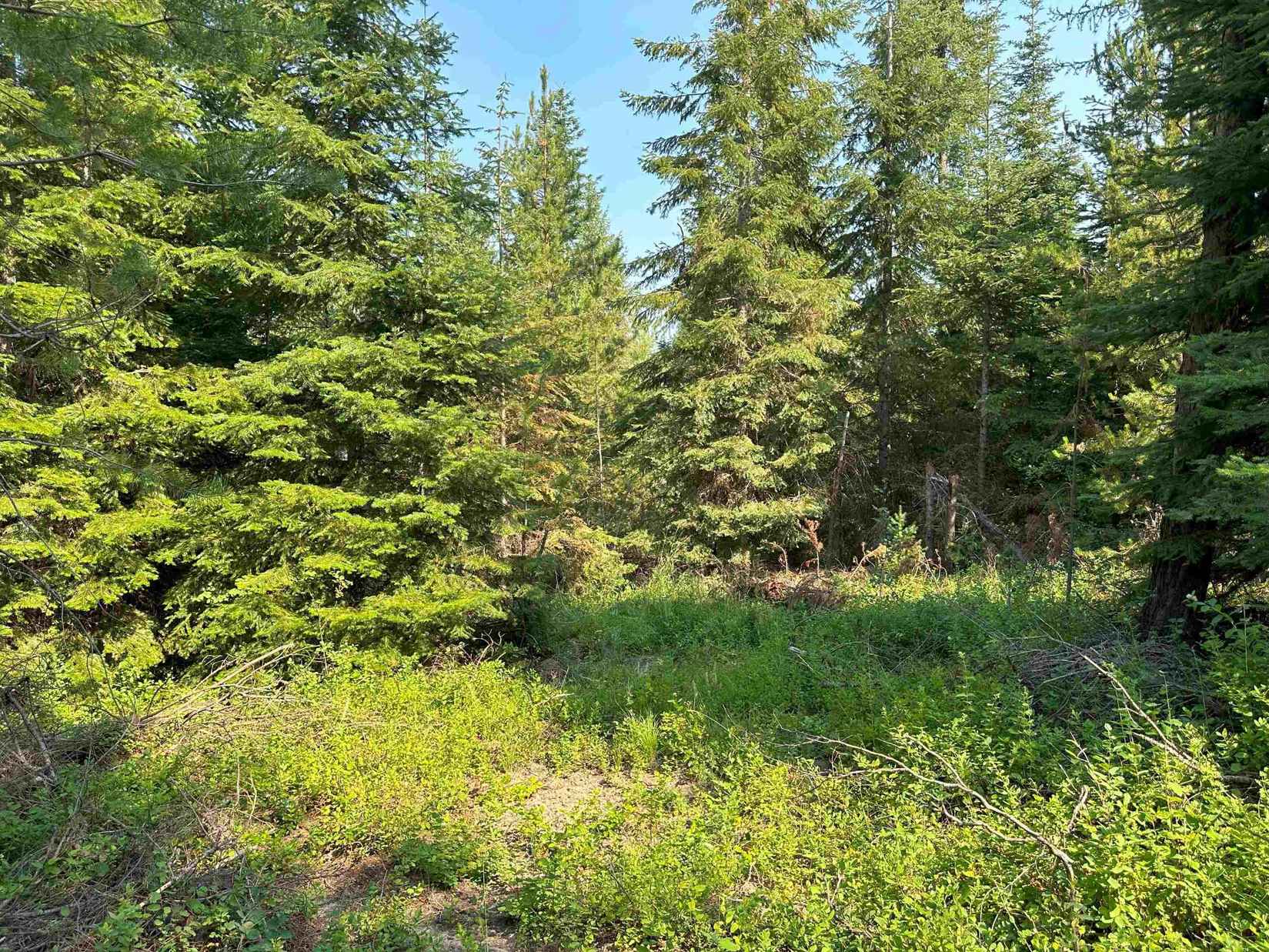 73xx Cottonwood Rd  