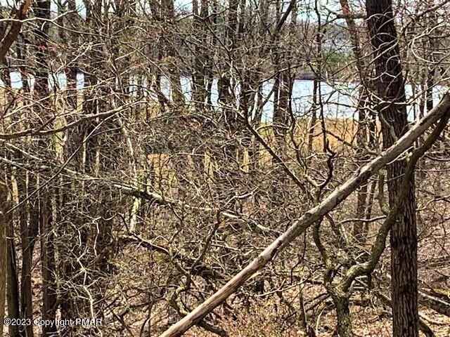 213 Clearview Rd  