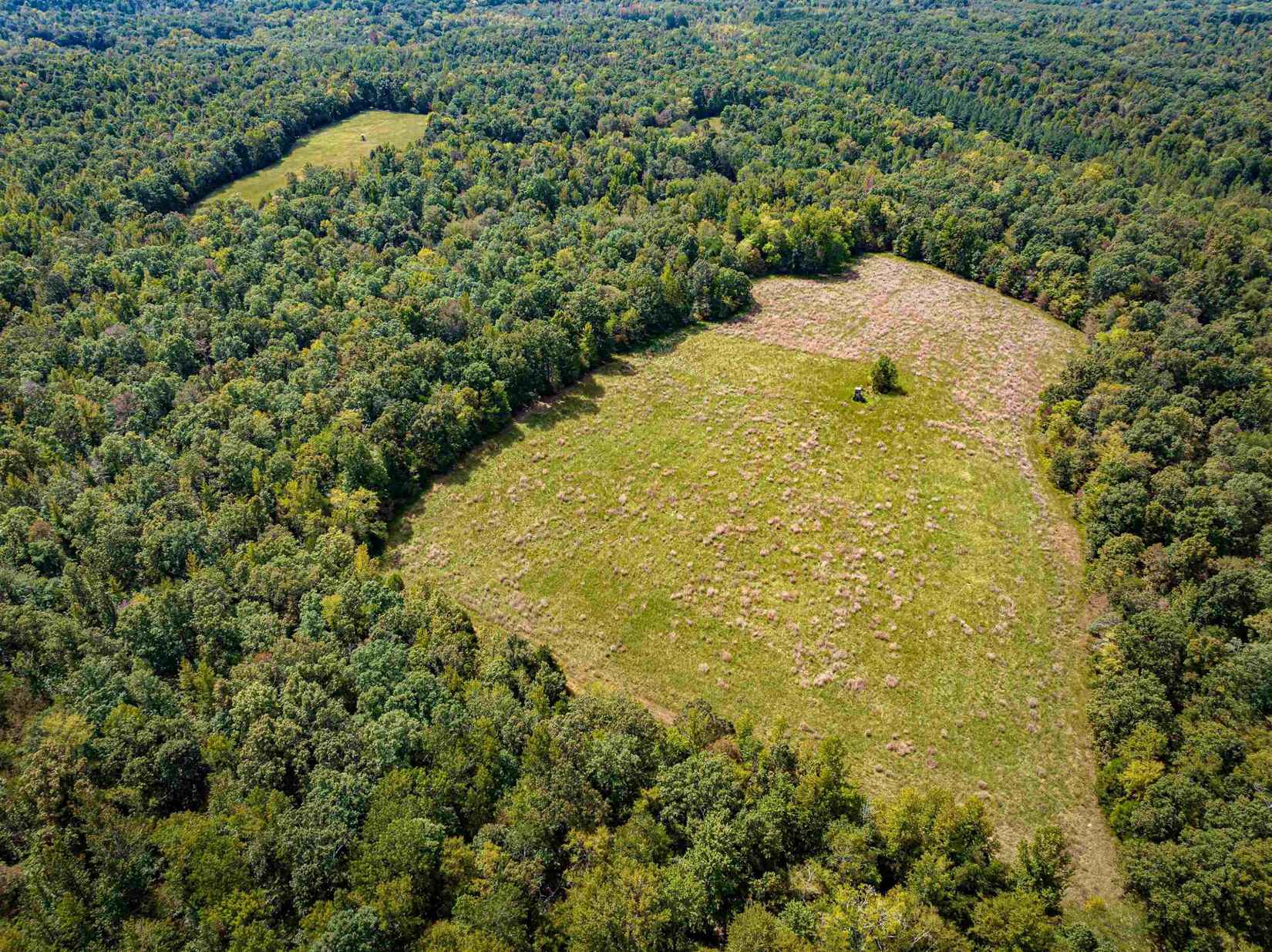 2642 Brodies Lndg Rd  