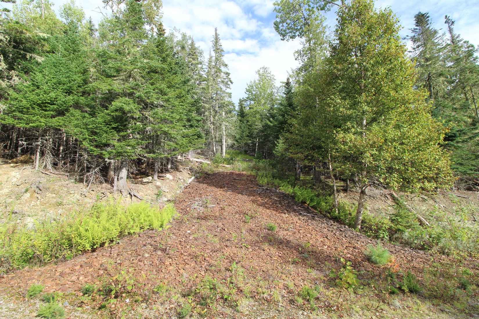 Lot 8 Wheeler Rd  
