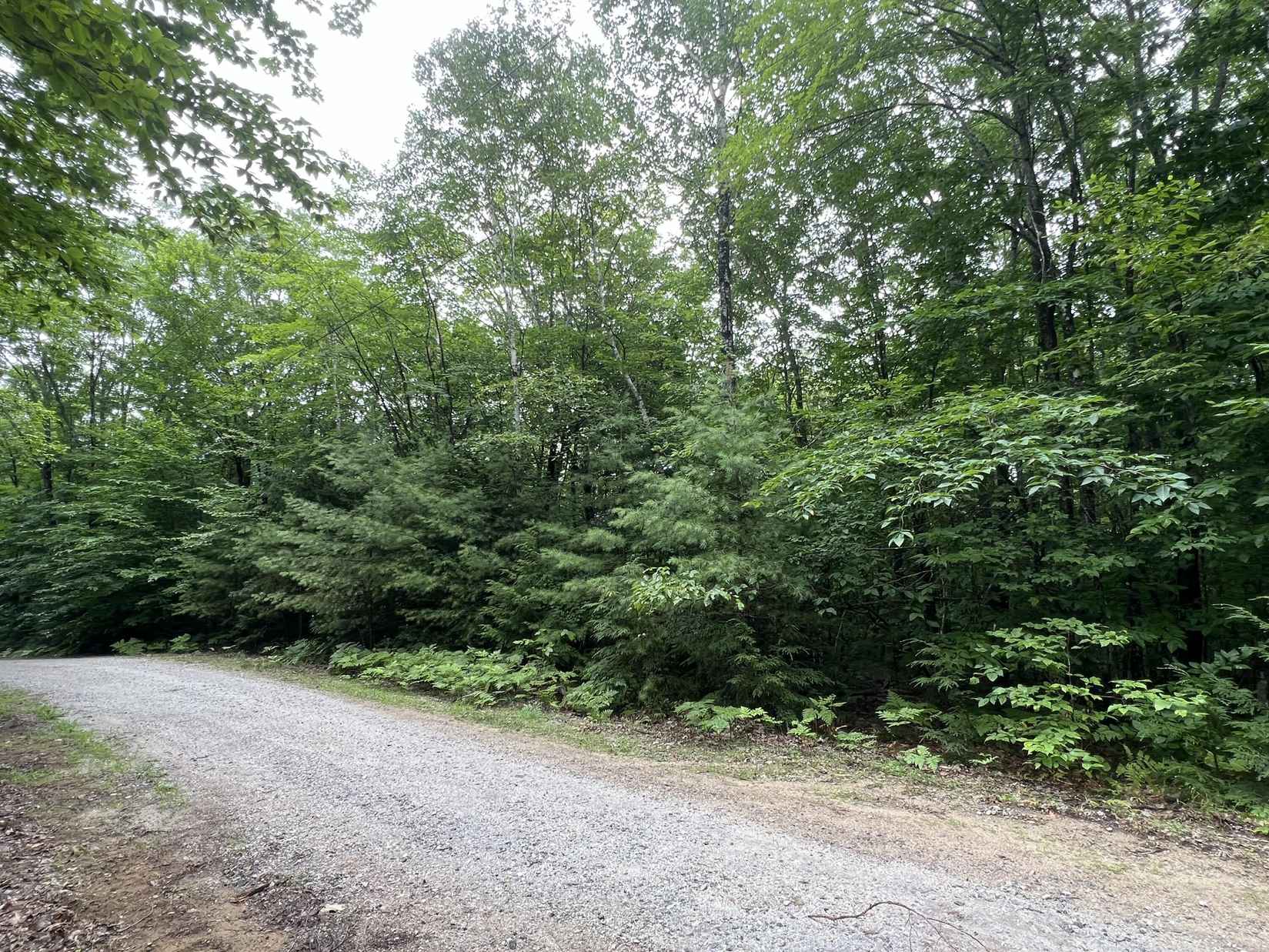 00 Half Mile Rd  