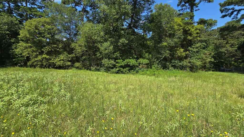 Lot 5 CR 3203  