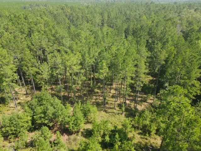 0 County Line Rd  