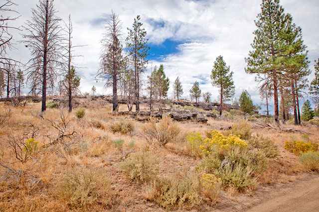 Lot 24 Ruffled Grouse Ln  
