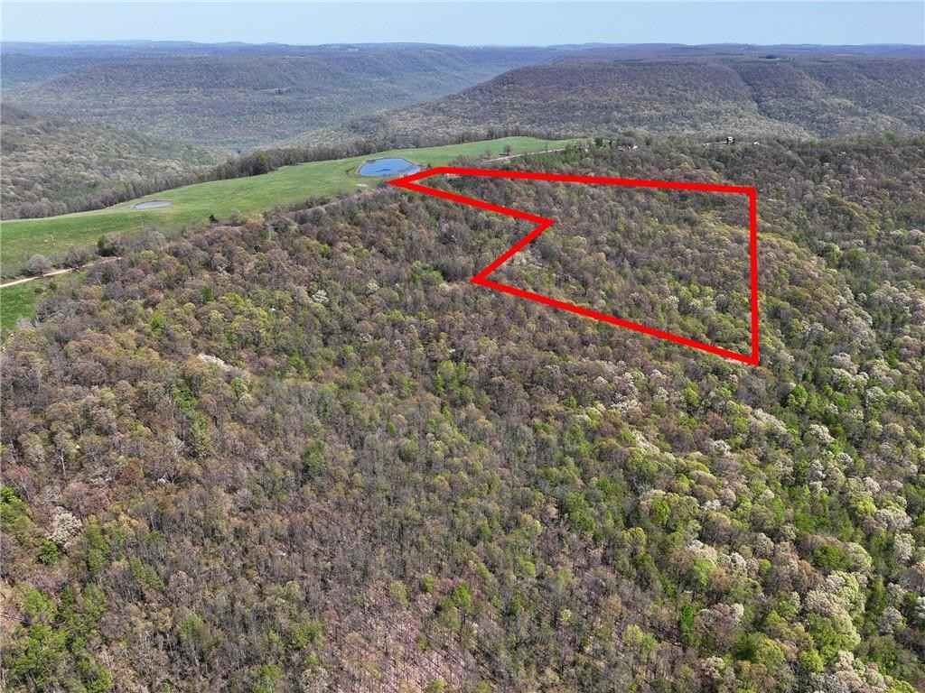 14 42 Acres Bidville (14 42 Acres) RD  
