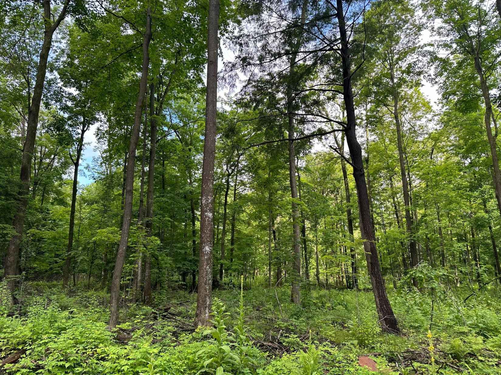 Lot 8 On KELLAR DR  