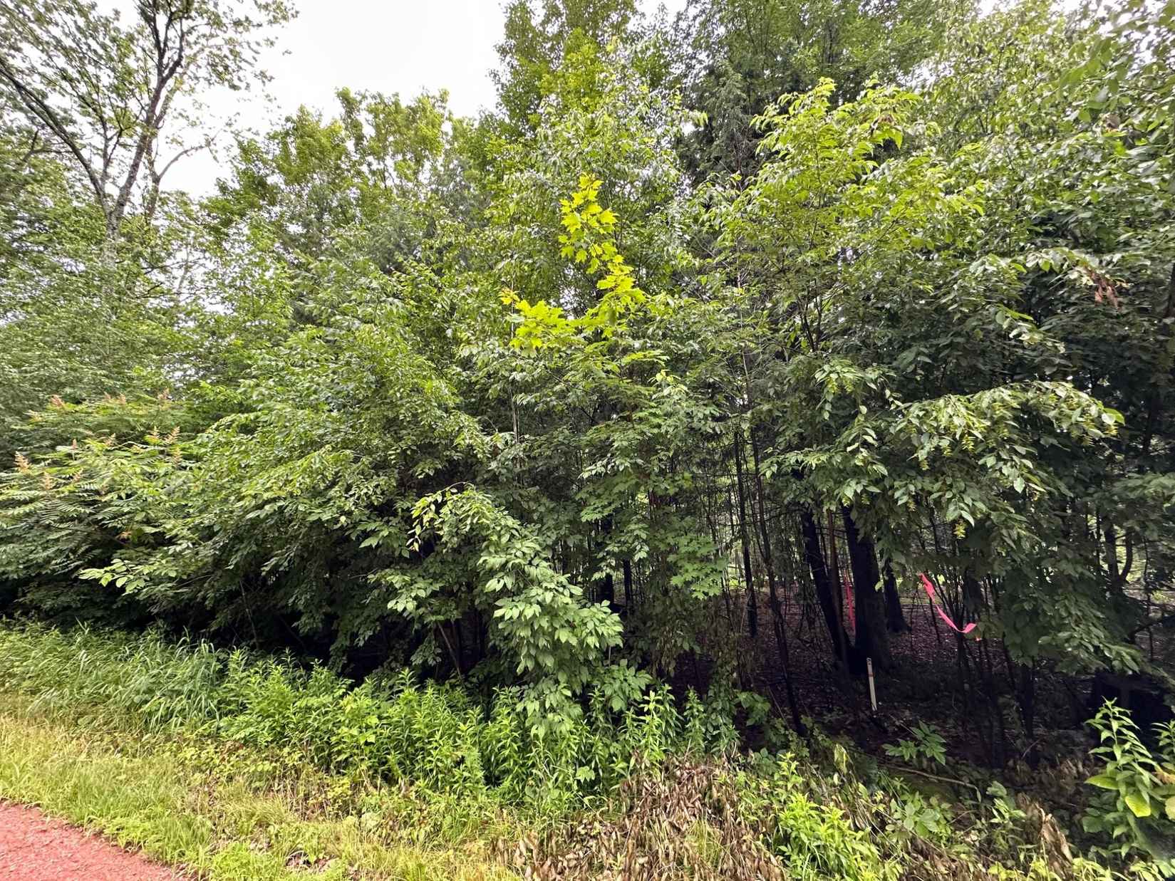 Lot 9 On KELLAR DR  