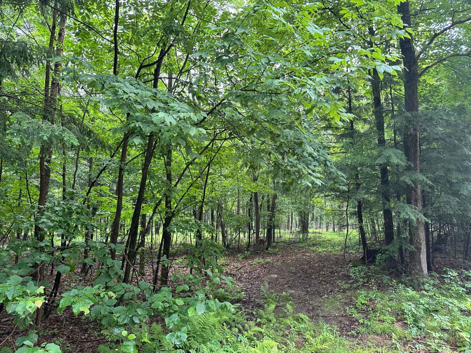 Lot 10 KELLAR DR  