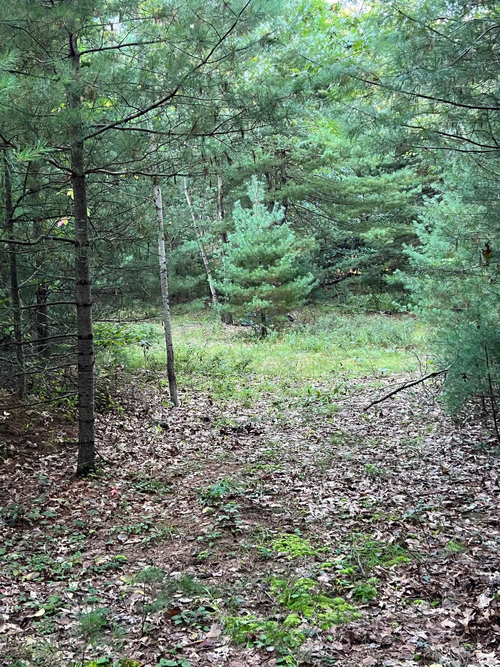 14 Eldredge Mls Rd  