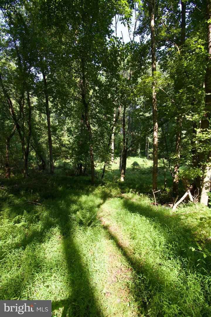 16746 Wesley Chapel Rd  